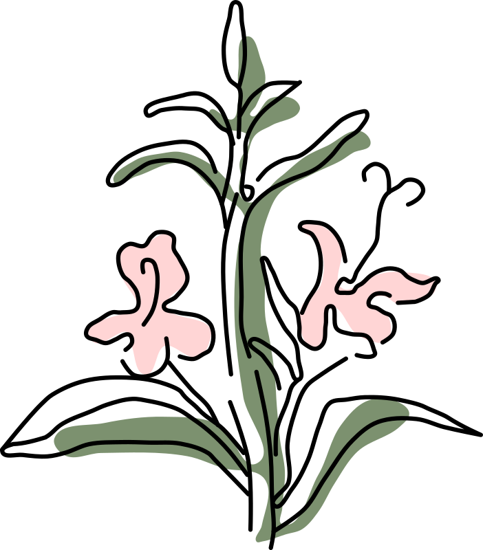 Mariage d'Emmanuelle & Victor